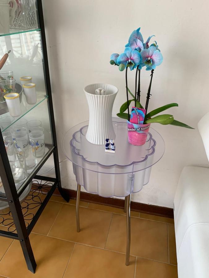 Апартаменти Pampero & Catona House Піза Екстер'єр фото